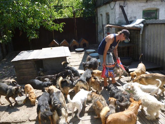 Цензор.НЕТ Изображение