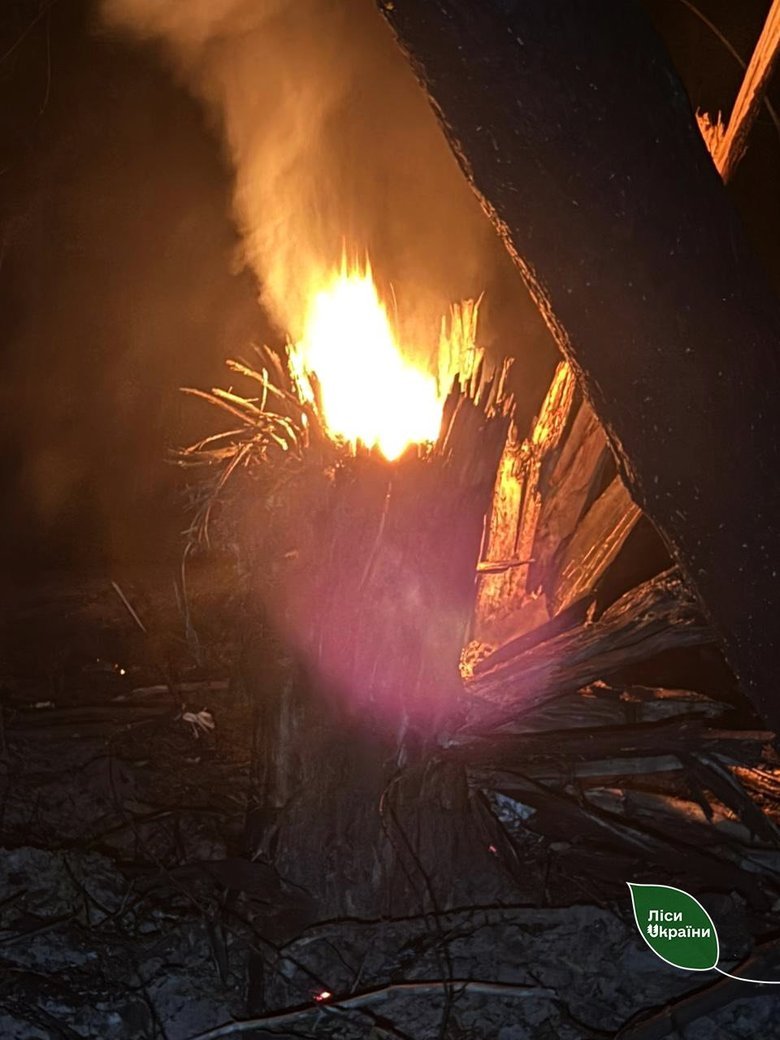 Three forest districts of the Capital Forest Office were affected by a drone and rocket attack