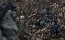 ліквідовані окупанти на Донеччині