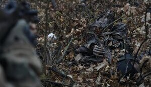Воины 53 ОМБр уничтожают живую силу врага: леса Донецкой области усеяны телами и остатками противника. ФОТОРЕПОРТАЖ