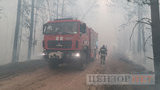 пожар,лес,житомирщина,пожары