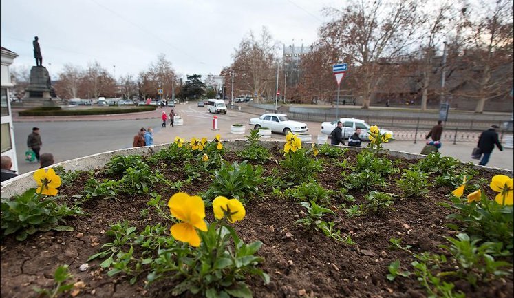 Квіти, ремонти і каналізація: ЗМІ з’ясували, на що громади витрачають кошти від екологічного податку