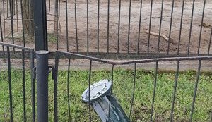 Во время ночного обстрела Николаева две ракеты попали в местный зоопарк. ФОТОрепортаж