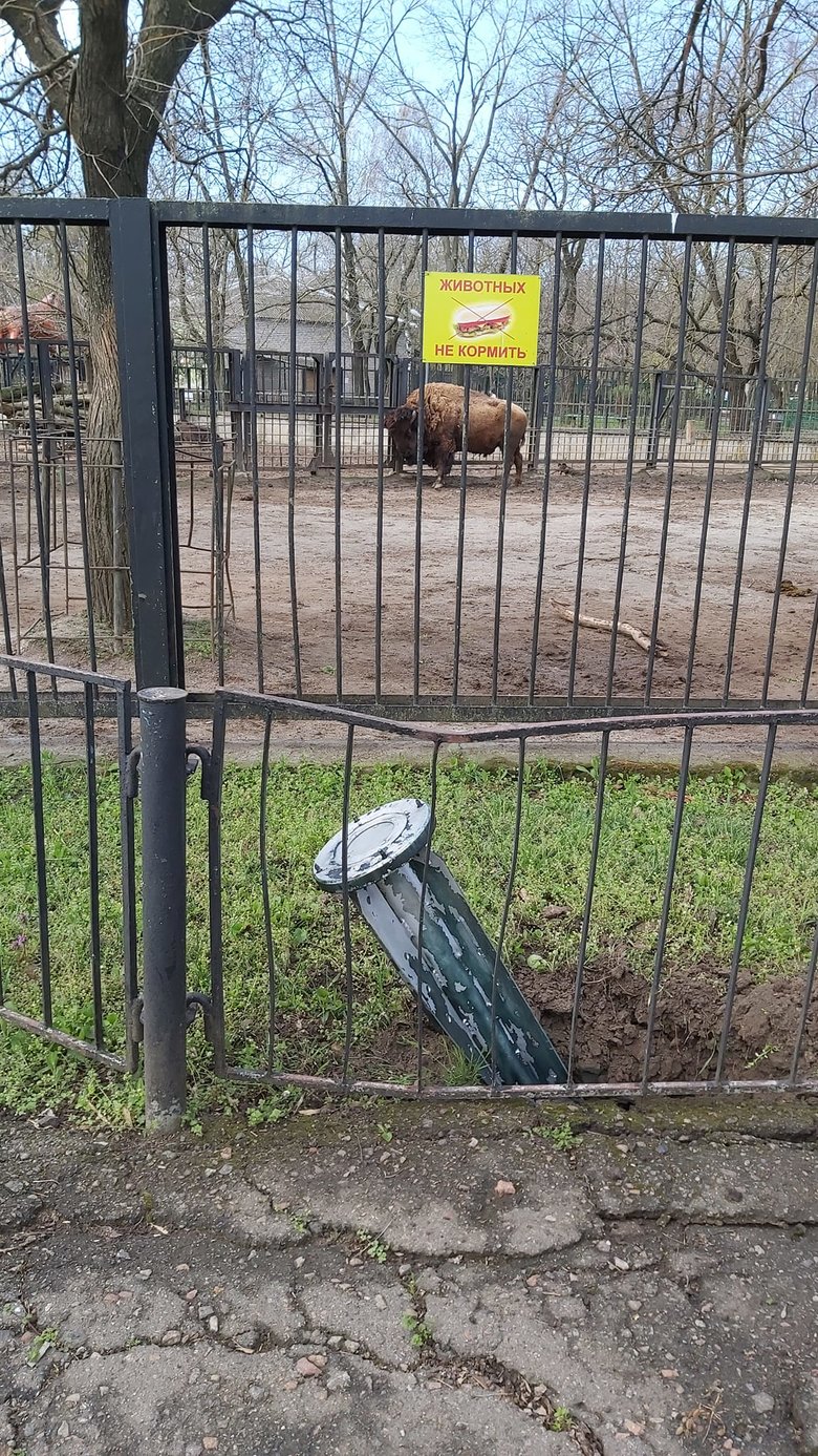 During night attack on Mykolaiv two rockets hit local zoo 04