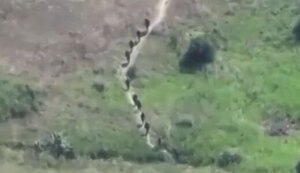 Last seconds of life of group of invaders trying to organize attack on position of 10th Mountain Assault Brigade. VIDEO