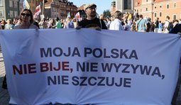 у 22 містах Польщі пройшли акції проти насильства щодо українців