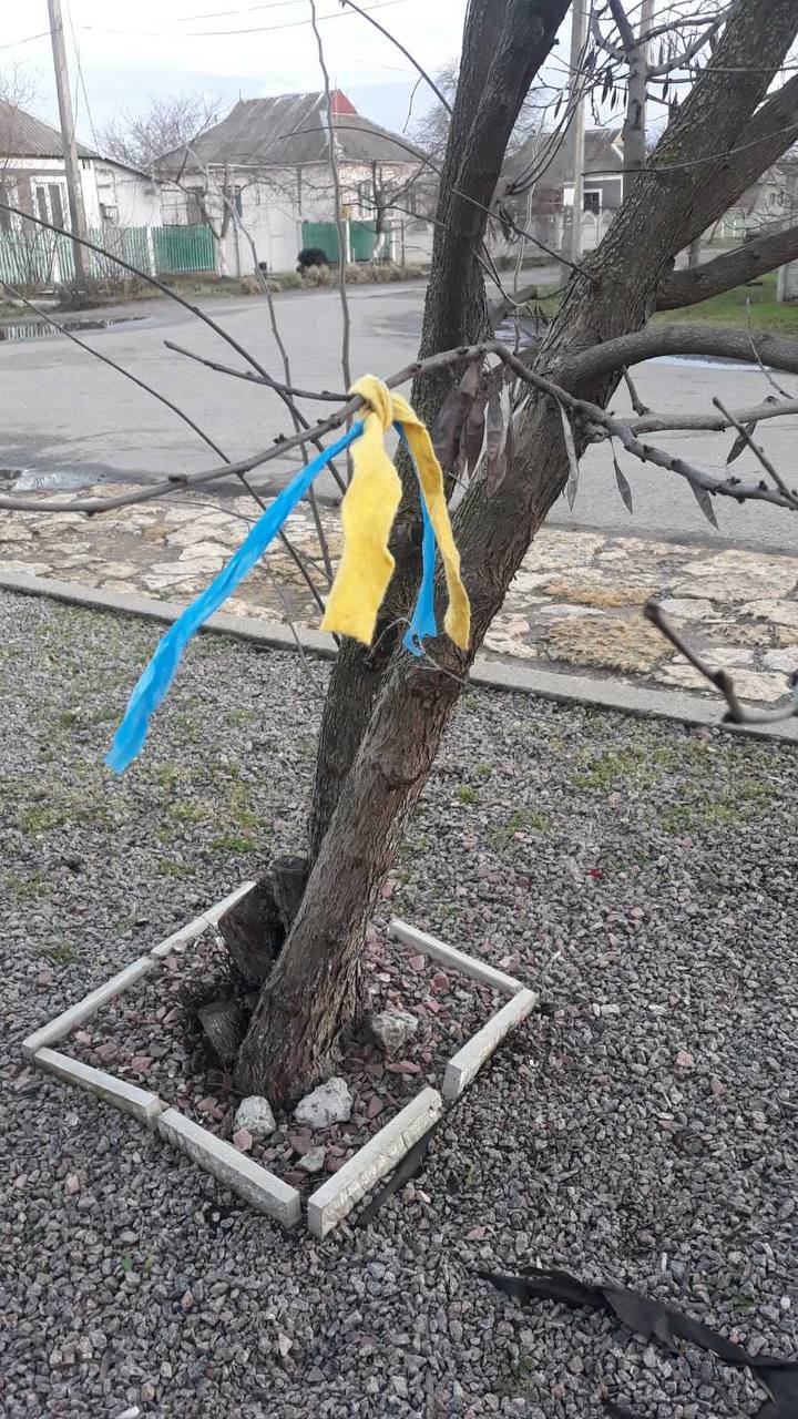 Жителі лівобережної Херсонщини на знак опору ворогу чіпляють синьо-жовті стрічки на вулицях 10