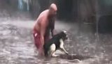 Киянин врятував під час зливи травмованого пса. ВIДЕО