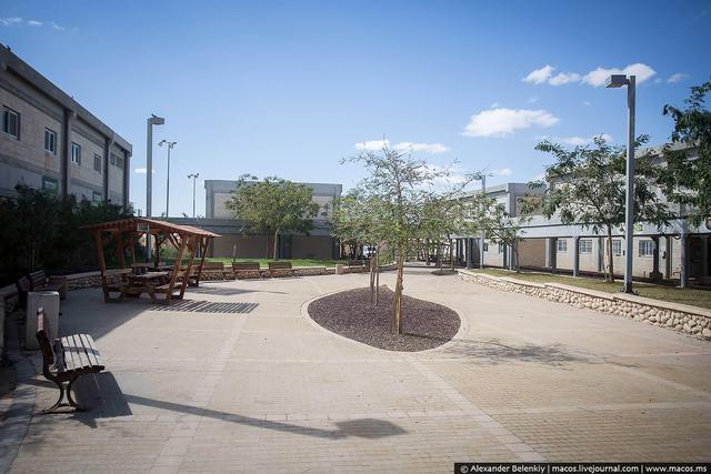 израиль армия