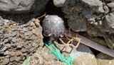 A sea mine has been found on the Greek island of Crete