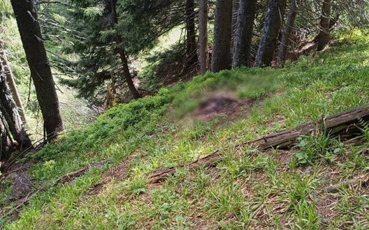 Прикордонники виявили тіло чоловіка у горах, поблизу кордону