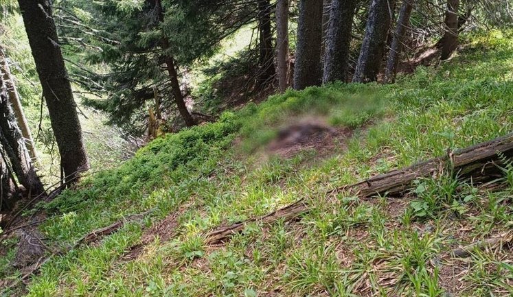 Пограничники обнаружили тело мужчины в горах, недалеко от границы с Румынией. ФОТОрепортаж