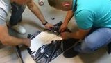 Международная группа наркоторговцев ликвидирована в Киеве - изъято 6 кг кокаина на 30 млн грн, - Нацполиция. ВИДЕО