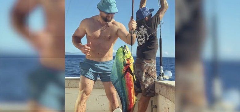 харчування