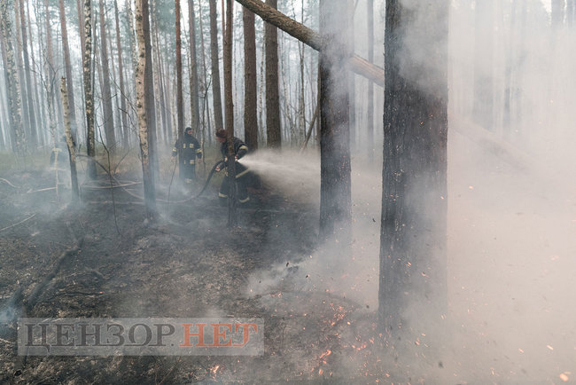 День з пожежниками на передовій. Фотозвіт 14
