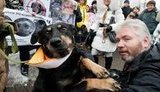 Азарову под Кабмин привели собак: власть легализует массовое убийство. ФОТОрепортаж