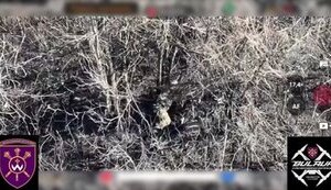 Окупант зник після прямого влучання боєприпасу з дрона бійців Президентської бригади. ВIДЕО