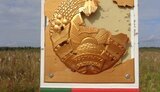 беларусь,знак