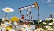 Ціна на нафту падає на тлі натяків Трампа на можливість мирної угоди з Іраном
