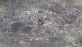 AAT hunters destroy occupiers in Bakhmut area. VIDEO