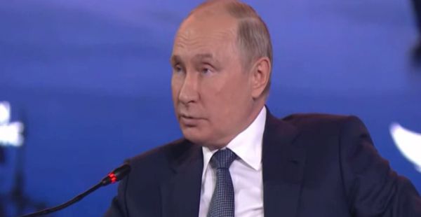 Вовки, вовки!!, війна і вибори 03