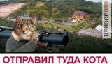 "Перепишу хату на кота!" Фотожабы на бигборд, за который объявляют в розыск.