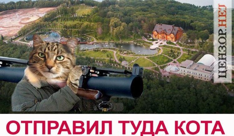 "Перепишу хату на кота!" Фотожабы на бигборд, за который объявляют в розыск.