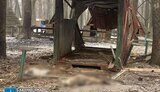 РФ вдарила по екопарку біля Харкова. Загинули тварини