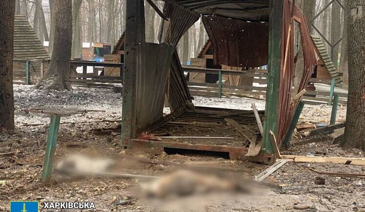 Рашисти вдарили по екопарку біля Харкова: загинули тварини, зруйновано вольєри. ФОТО