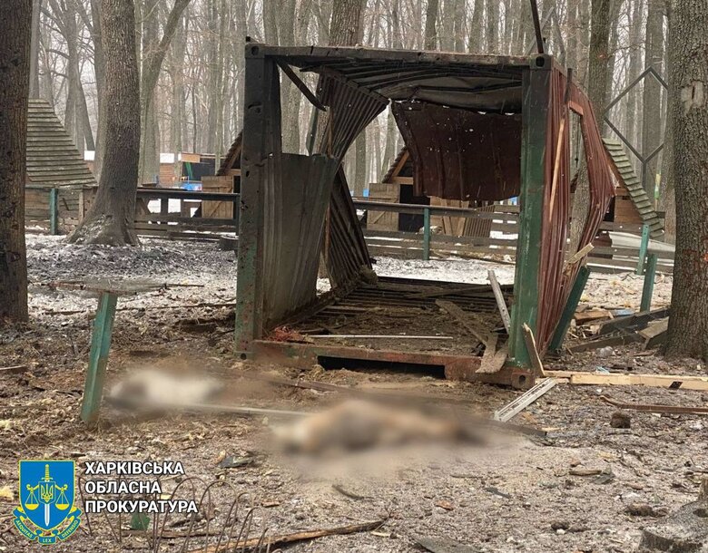 РФ ударила по экопарку возле Харькова. Погибли животные