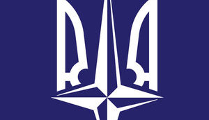 Чому ми не в НАТО: Експерти Ради громадського нагляду Україна-НАТО проведуть брифінг