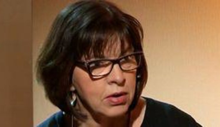 “Since there are no private Buks, the Russian Federation has responsibility in MH17,” – MEP Harms on JIT report