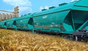 "Укрзалізниця" шукає нові маршрути для експорту зерна після зупинки роботи портів, ‒ Bloomberg