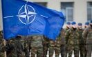 Военные учения НАТО стартовали в Эстонии