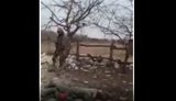 рф,полон,армія