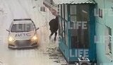 росія,підпал,військомат