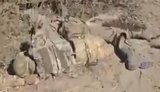 знищені росіяни валяються на дорозі