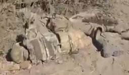 знищені росіяни валяються на дорозі