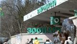 киев,зоопарк