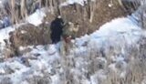 знищення окупанта на покровському напрямку