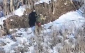 знищення окупанта на покровському напрямку