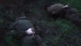 полонені