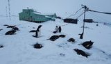 20-летний рекорд. Украинскую станцию в Антарктиде засыпало почти 3-метровым слоем снега. ФОТОрепортаж