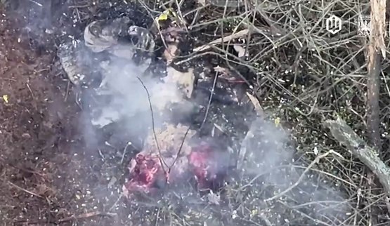 Бійці 414 бригади Птахів Мадяра ліквідували 4 окупантів ударними безпілотниками серед поля