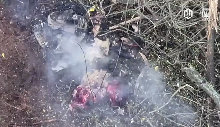 Від окупанта залишився тулуб без кінцівок: дрони "Птахів Мадяра" влучно поцілили в рашиста. ВIДЕО