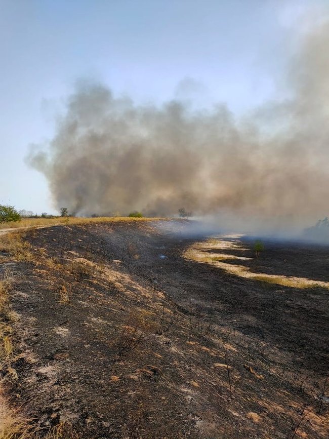 Підрозділи ЗСУ допомагають гасити масштабну пожежу на Луганщині, - штаб ООС 03