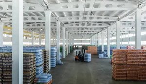 Food from Ukraine: в Африці запрацював перший український агрохаб