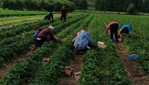 Польські роботодавці шукають замість українців працівників в країнах Азії та Латинської Америки.