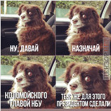 Что тут думать?