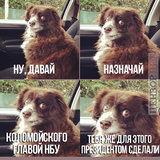 Что тут думать?